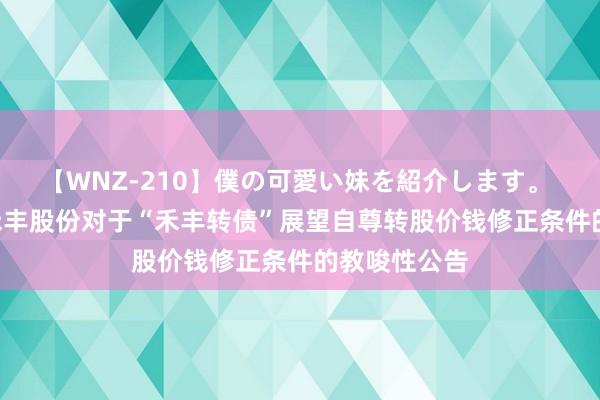 【WNZ-210】僕の可愛い妹を紹介します。 禾丰股份: 禾丰股份对于“禾丰转债”展望自尊转股价钱修正条件的教唆性公告