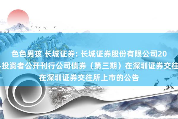 色色男孩 长城证券: 长城证券股份有限公司2024年面向专科投资者公开刊行公司债券（第三期）在深圳证券交往所上市的公告