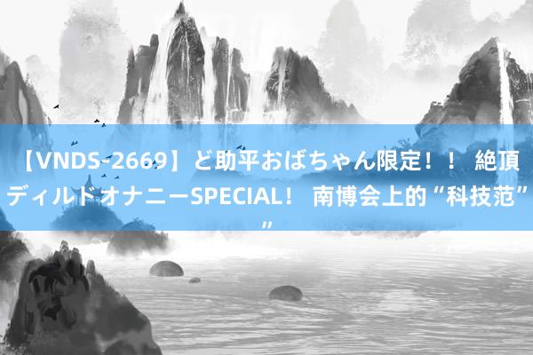 【VNDS-2669】ど助平おばちゃん限定！！ 絶頂ディルドオナニーSPECIAL！ 南博会上的“科技范”