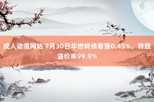 成人动漫网站 7月30日华懋转债着落0.45%，转股溢价率99.9%