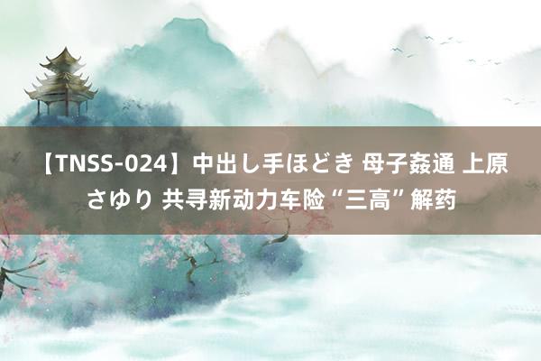 【TNSS-024】中出し手ほどき 母子姦通 上原さゆり 共寻新动力车险“三高”解药