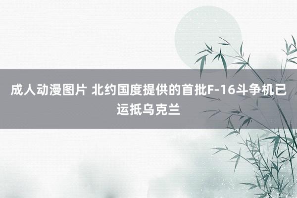 成人动漫图片 北约国度提供的首批F-16斗争机已运抵乌克兰