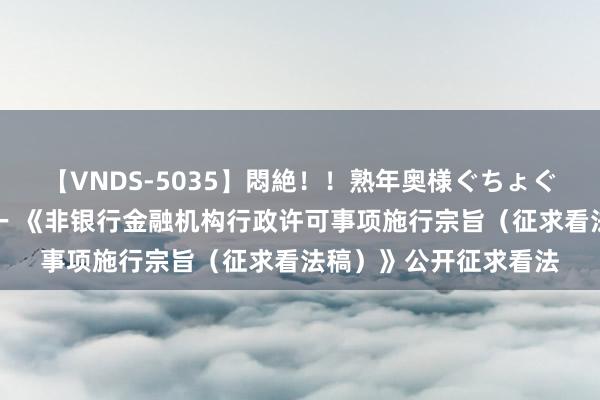 【VNDS-5035】悶絶！！熟年奥様ぐちょぐちょディルドオナニー 《非银行金融机构行政许可事项施行宗旨（征求看法稿）》公开征求看法