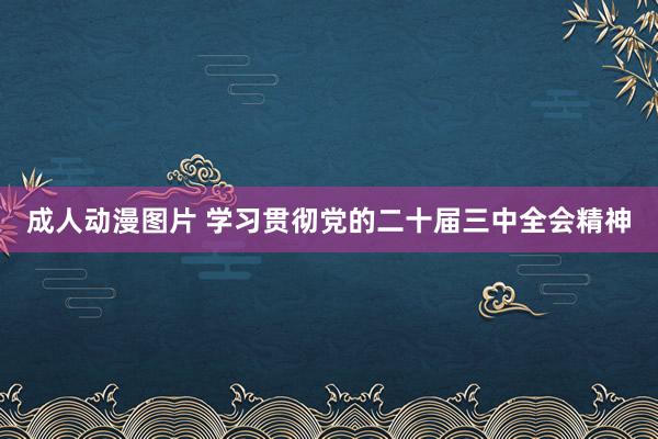 成人动漫图片 学习贯彻党的二十届三中全会精神