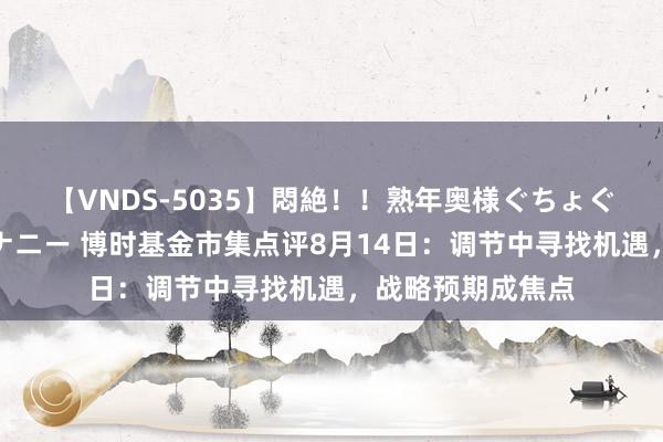 【VNDS-5035】悶絶！！熟年奥様ぐちょぐちょディルドオナニー 博时基金市集点评8月14日：调节中寻找机遇，战略预期成焦点