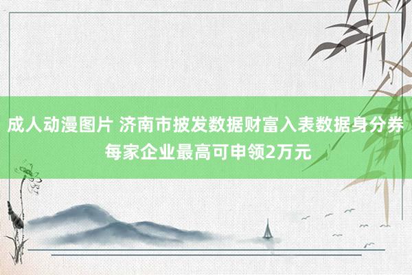 成人动漫图片 济南市披发数据财富入表数据身分券 每家企业最高可申领2万元