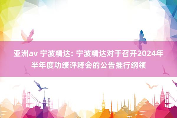 亚洲av 宁波精达: 宁波精达对于召开2024年半年度功绩评释会的公告推行纲领