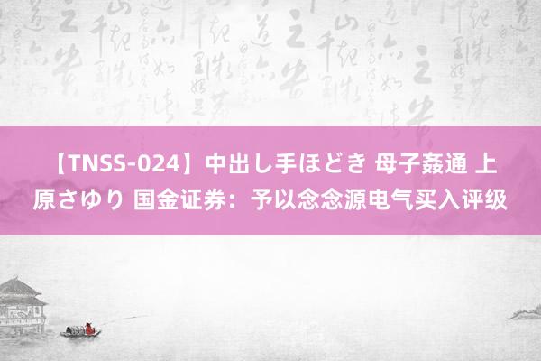 【TNSS-024】中出し手ほどき 母子姦通 上原さゆり 国金证券：予以念念源电气买入评级