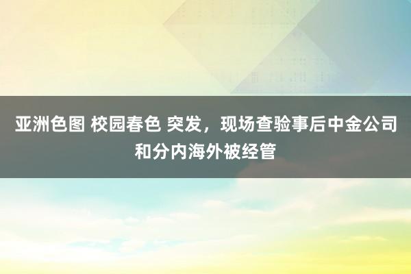 亚洲色图 校园春色 突发，现场查验事后中金公司和分内海外被经管