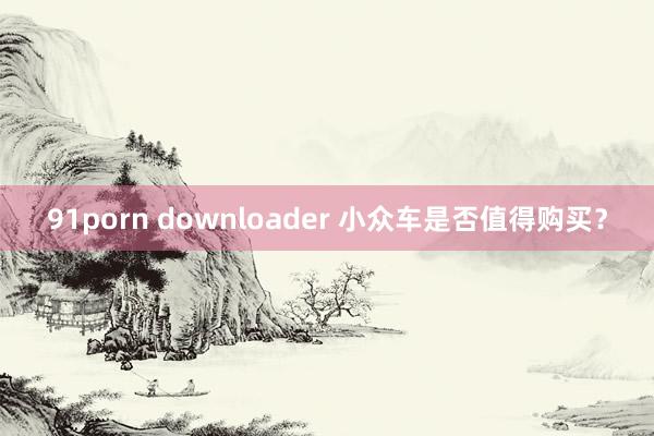 91porn downloader 小众车是否值得购买？