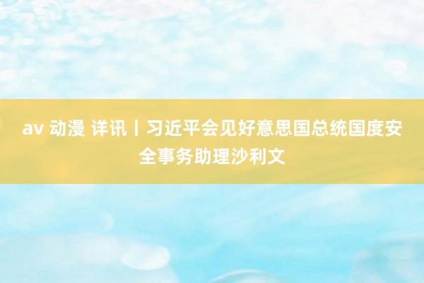 av 动漫 详讯丨习近平会见好意思国总统国度安全事务助理沙利文