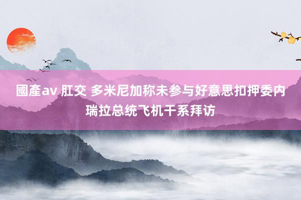 國產av 肛交 多米尼加称未参与好意思扣押委内瑞拉总统飞机干系拜访