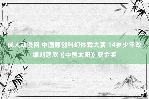 成人动漫网 中国原创科幻体裁大赛 14岁少年改编刘慈欣《中国太阳》获金奖