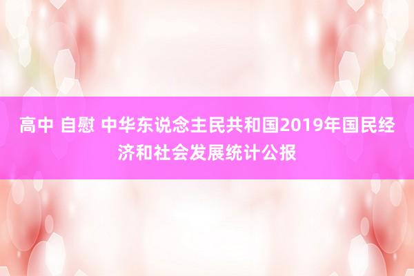 高中 自慰 中华东说念主民共和国2019年国民经济和社会发展统计公报