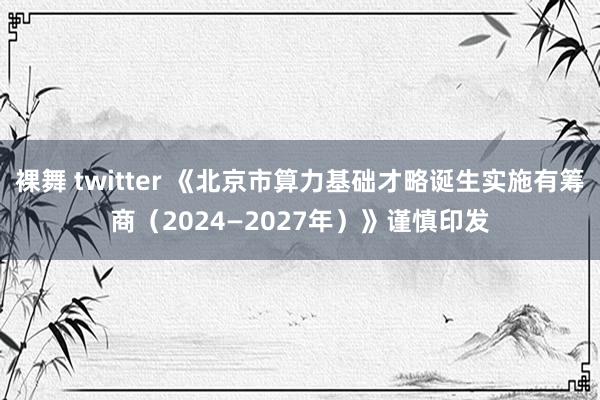 裸舞 twitter 《北京市算力基础才略诞生实施有筹商（2